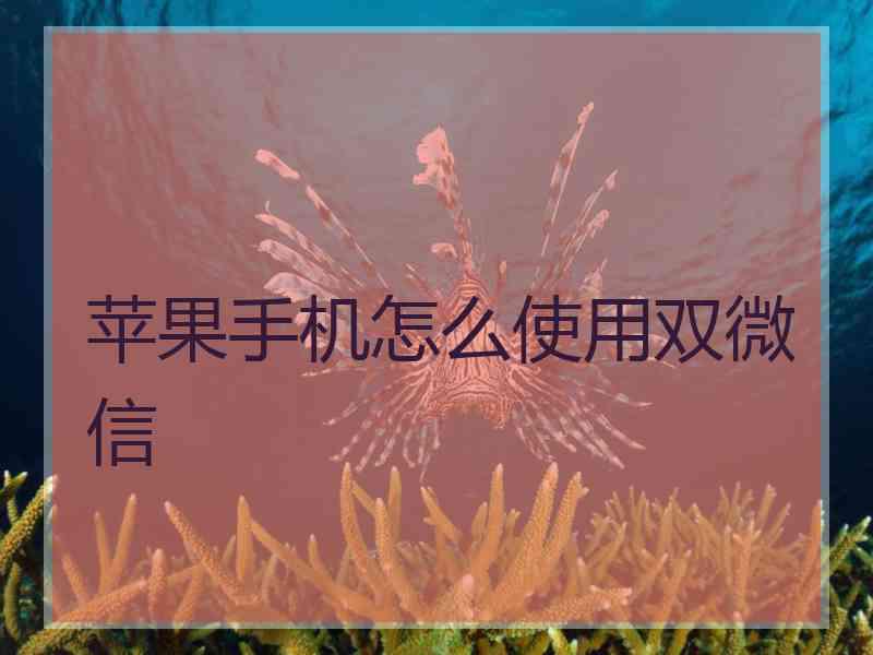 苹果手机怎么使用双微信