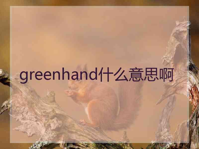 greenhand什么意思啊