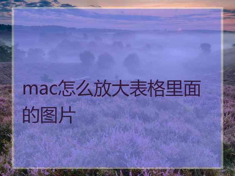 mac怎么放大表格里面的图片