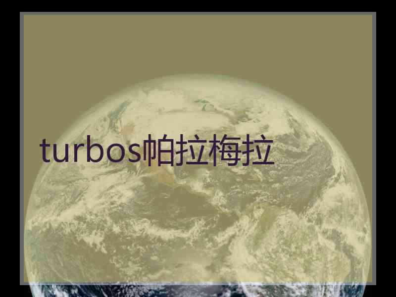 turbos帕拉梅拉