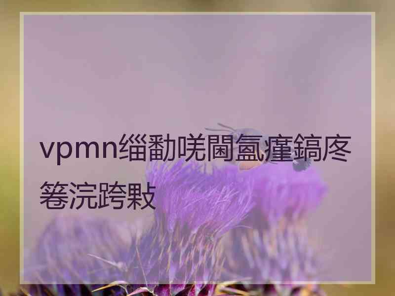 vpmn缁勫唴閫氳瘽鎬庝箞浣跨敤