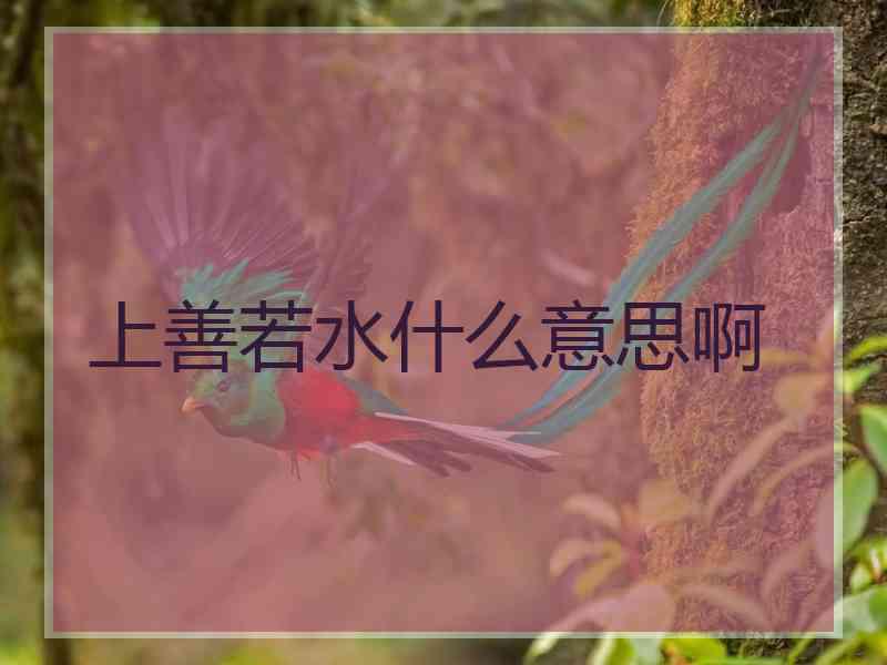 上善若水什么意思啊