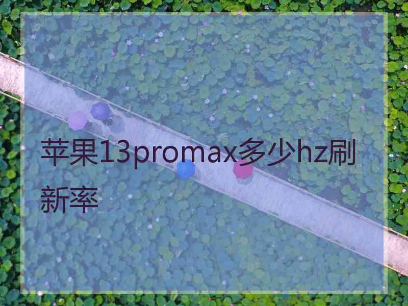 苹果13promax多少hz刷新率