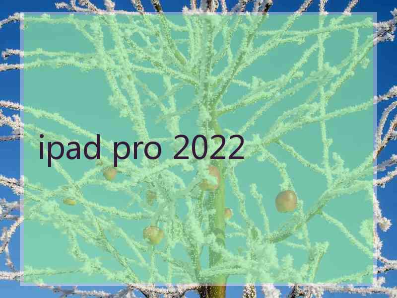 ipad pro 2022