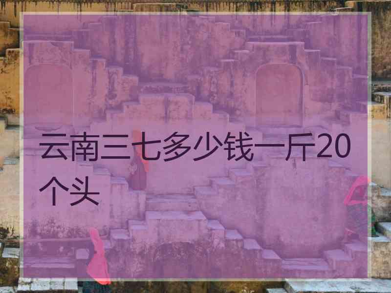 云南三七多少钱一斤20个头