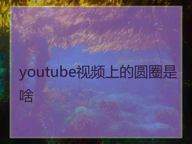 youtube视频上的圆圈是啥