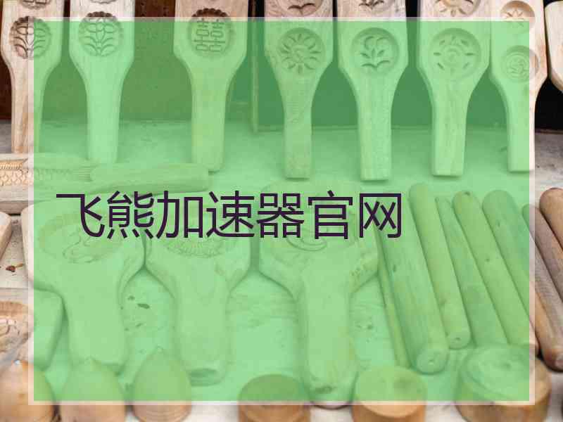 飞熊加速器官网