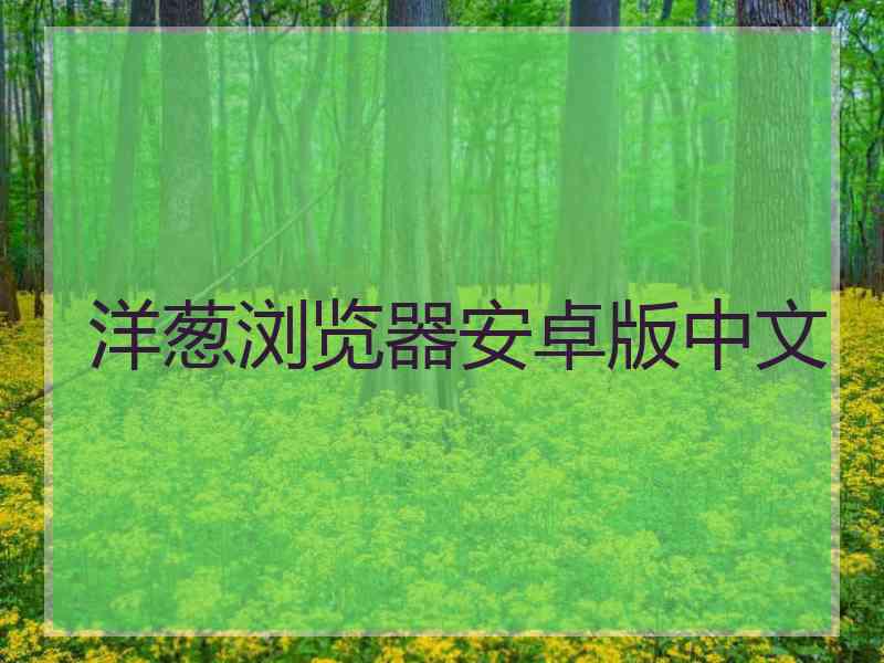 洋葱浏览器安卓版中文