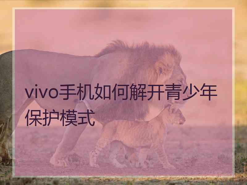 vivo手机如何解开青少年保护模式