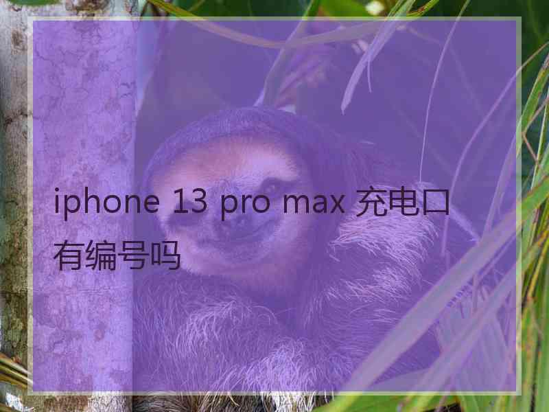 iphone 13 pro max 充电口有编号吗