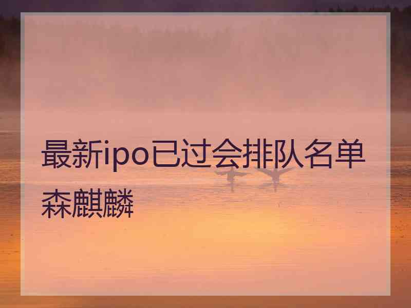 最新ipo已过会排队名单森麒麟