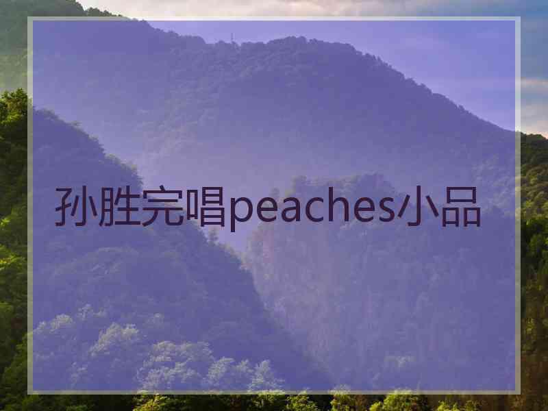 孙胜完唱peaches小品