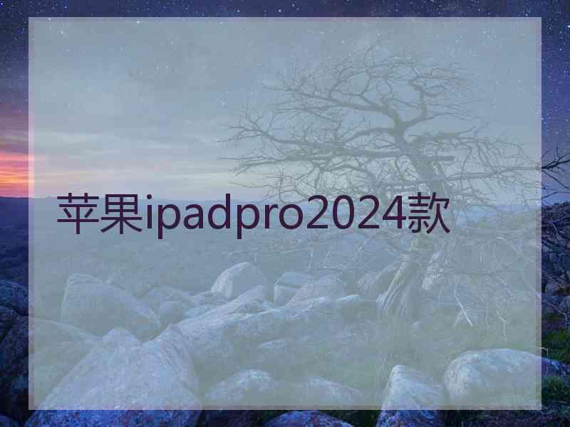 苹果ipadpro2024款