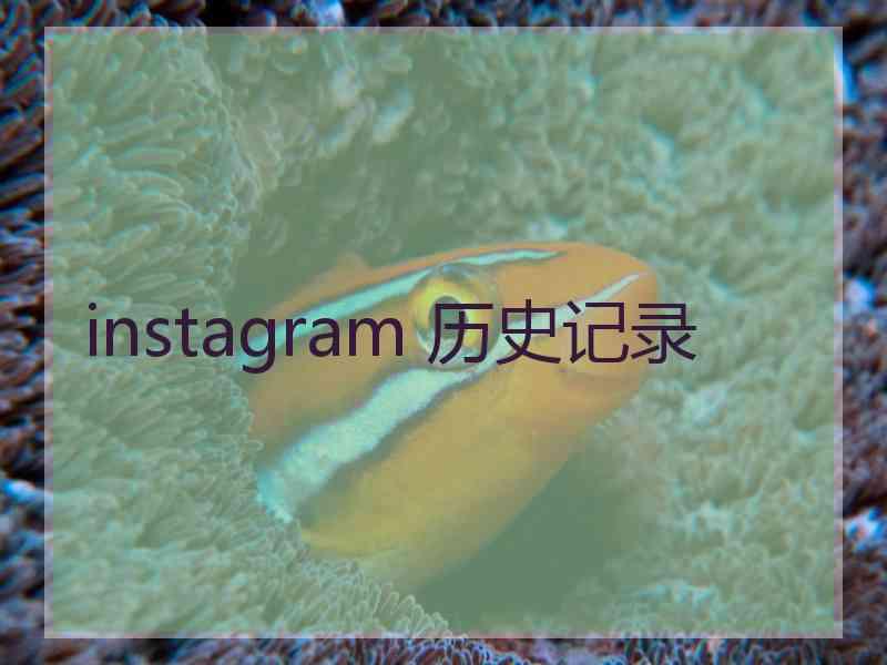 instagram 历史记录