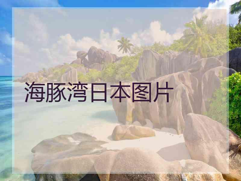 海豚湾日本图片