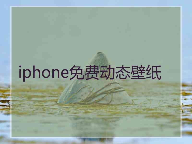 iphone免费动态壁纸