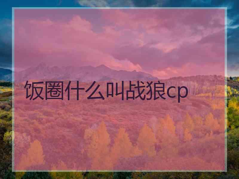 饭圈什么叫战狼cp