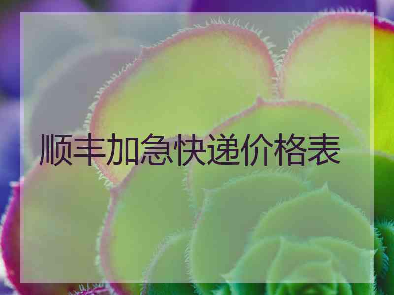 顺丰加急快递价格表