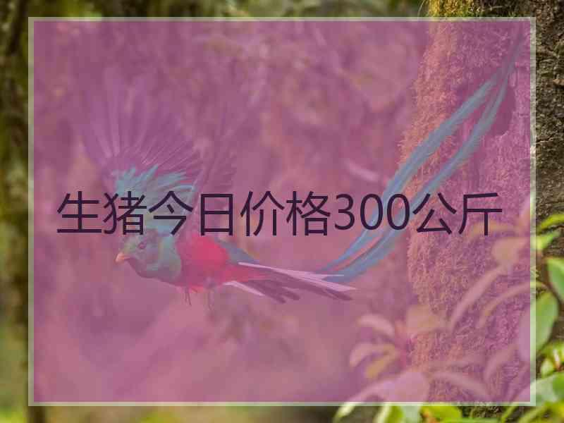 生猪今日价格300公斤