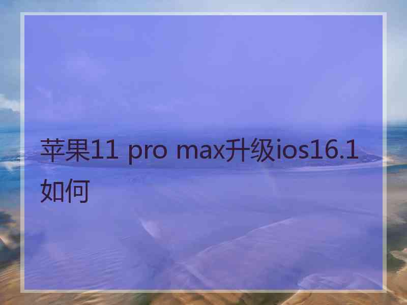 苹果11 pro max升级ios16.1如何