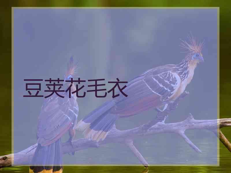 豆荚花毛衣