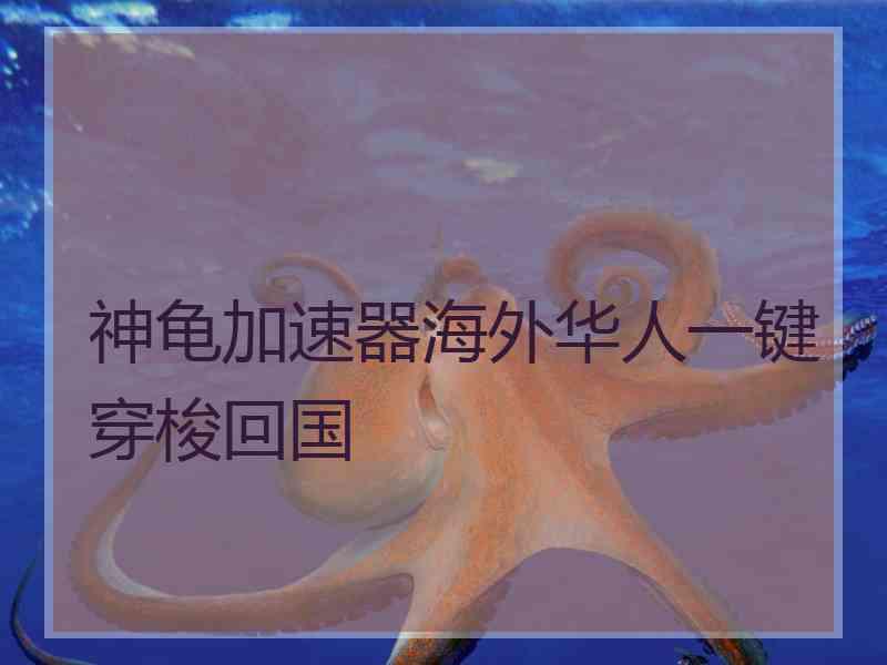 神龟加速器海外华人一键穿梭回国