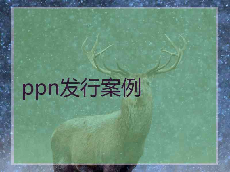 ppn发行案例