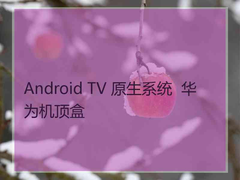 Android TV 原生系统  华为机顶盒