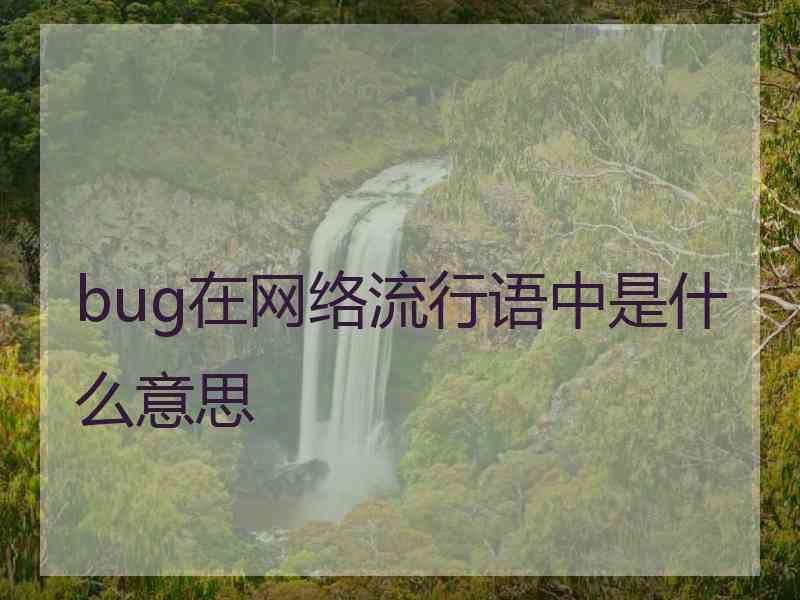 bug在网络流行语中是什么意思