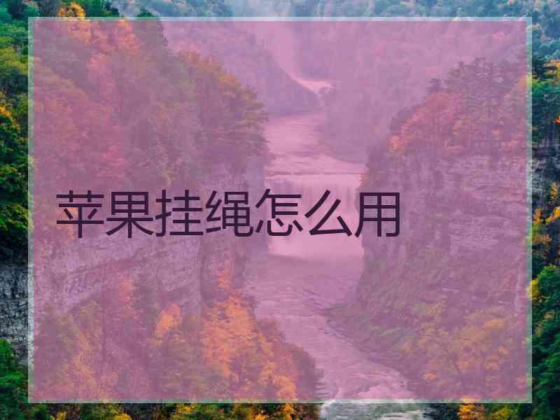 苹果挂绳怎么用