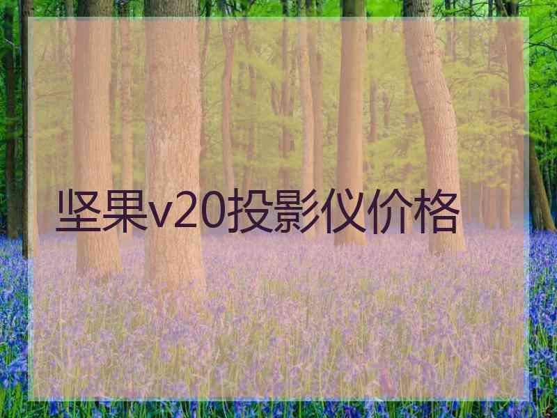 坚果v20投影仪价格