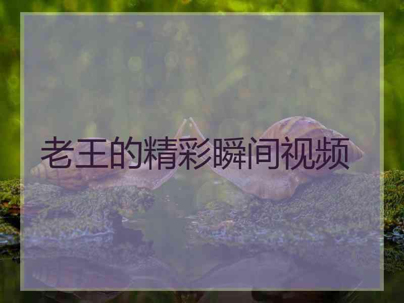 老王的精彩瞬间视频