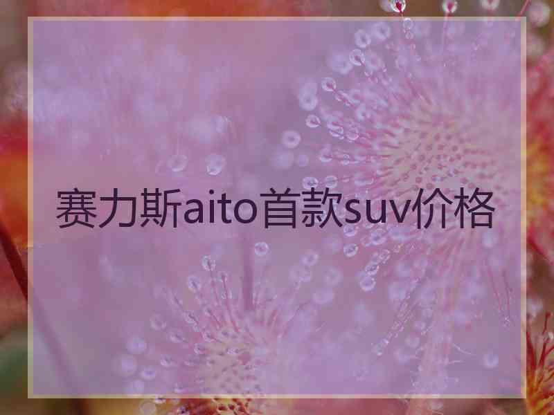 赛力斯aito首款suv价格