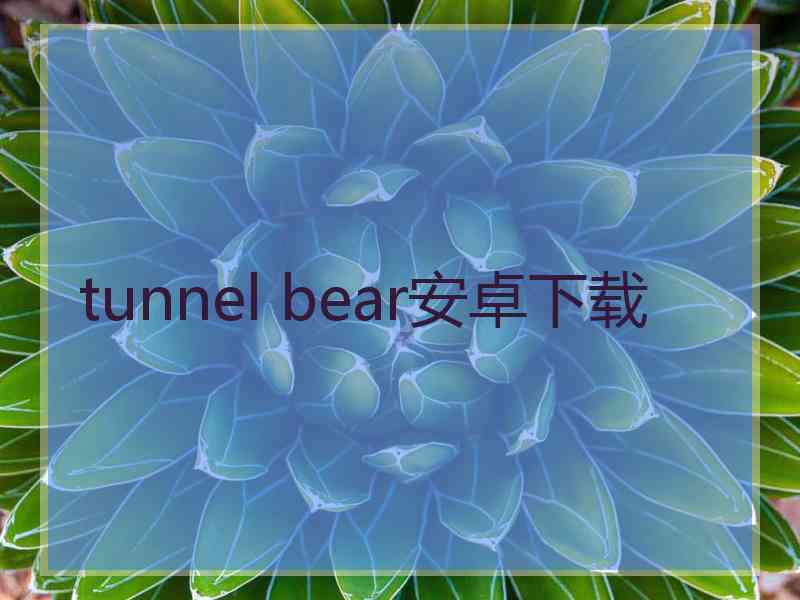 tunnel bear安卓下载