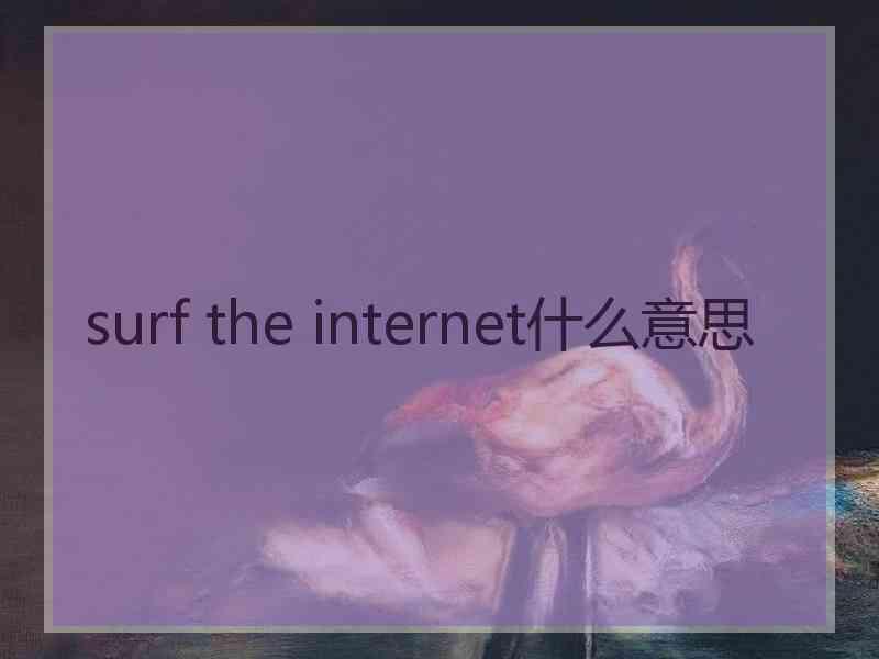 surf the internet什么意思