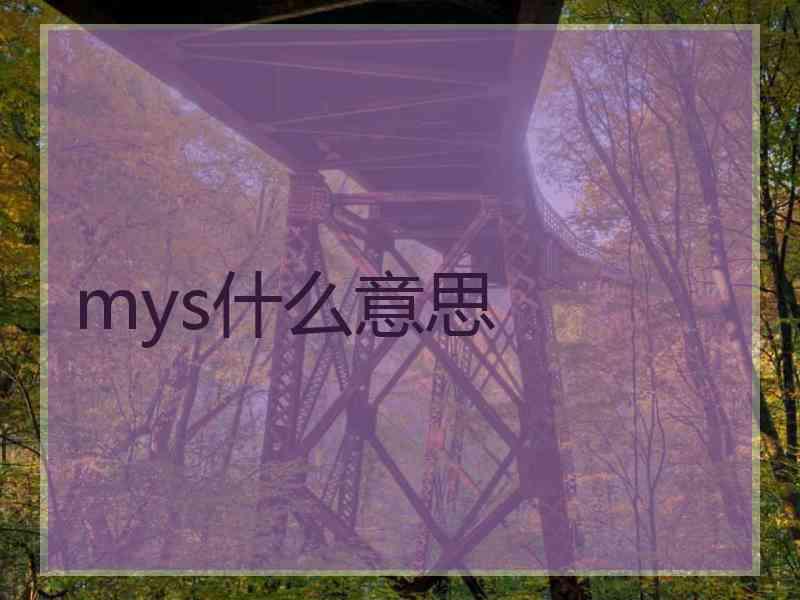 mys什么意思