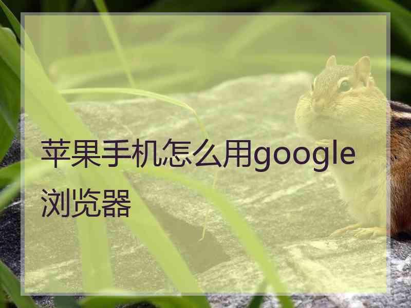 苹果手机怎么用google浏览器