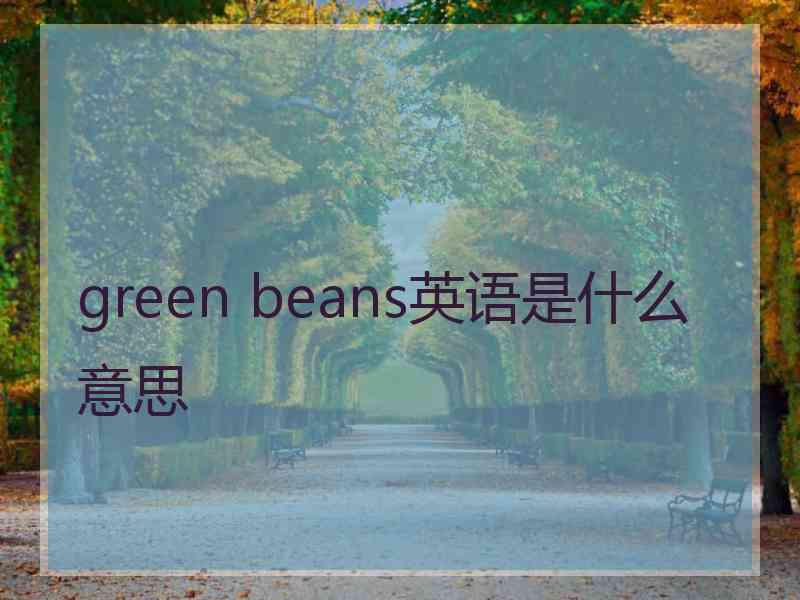 green beans英语是什么意思