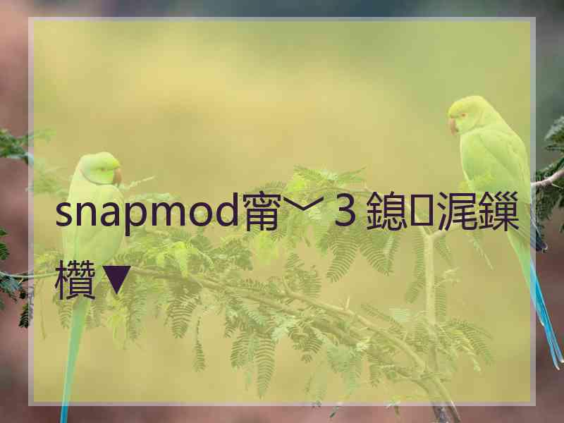 snapmod甯﹀３鎴浘鏁欑▼