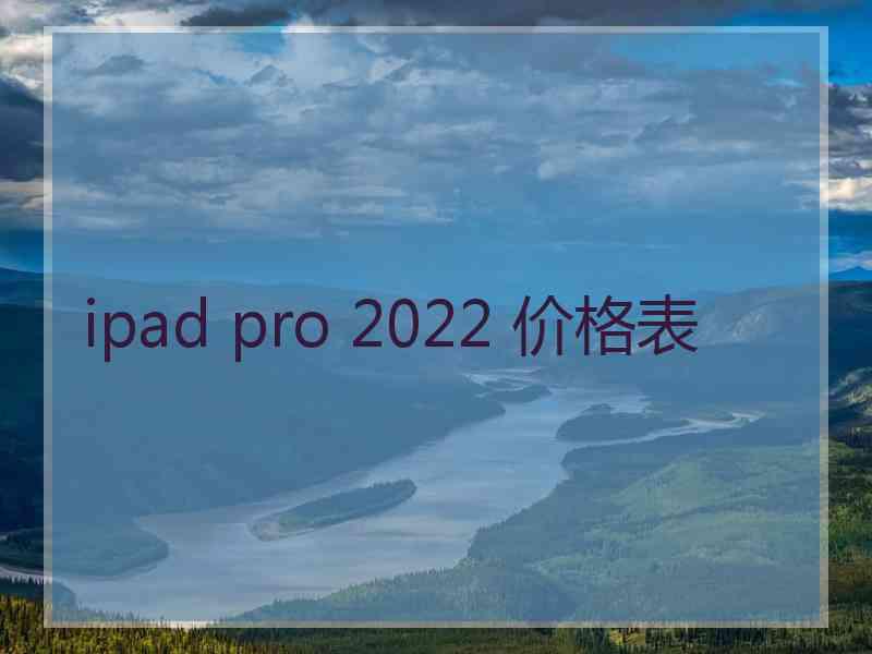 ipad pro 2022 价格表