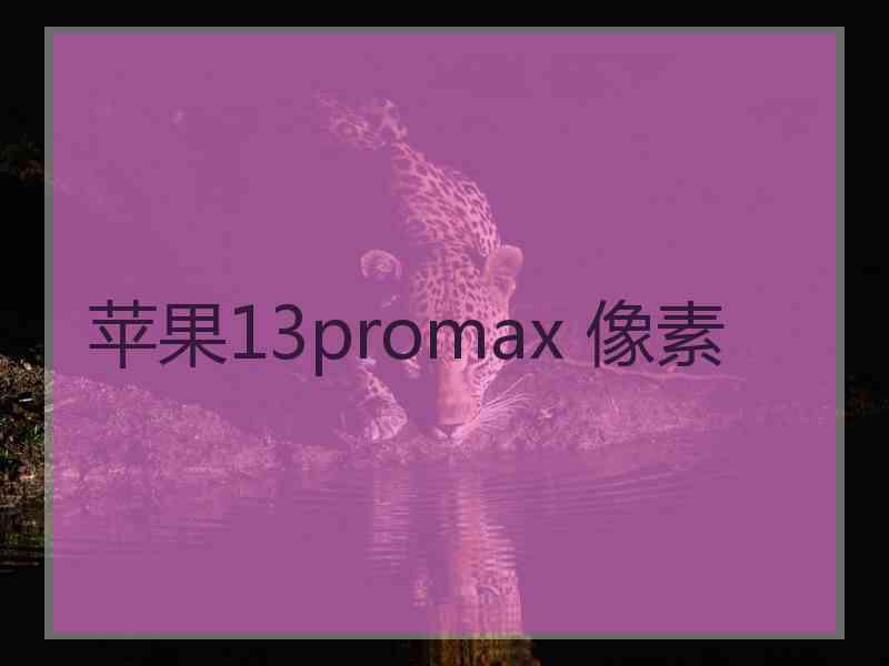 苹果13promax 像素