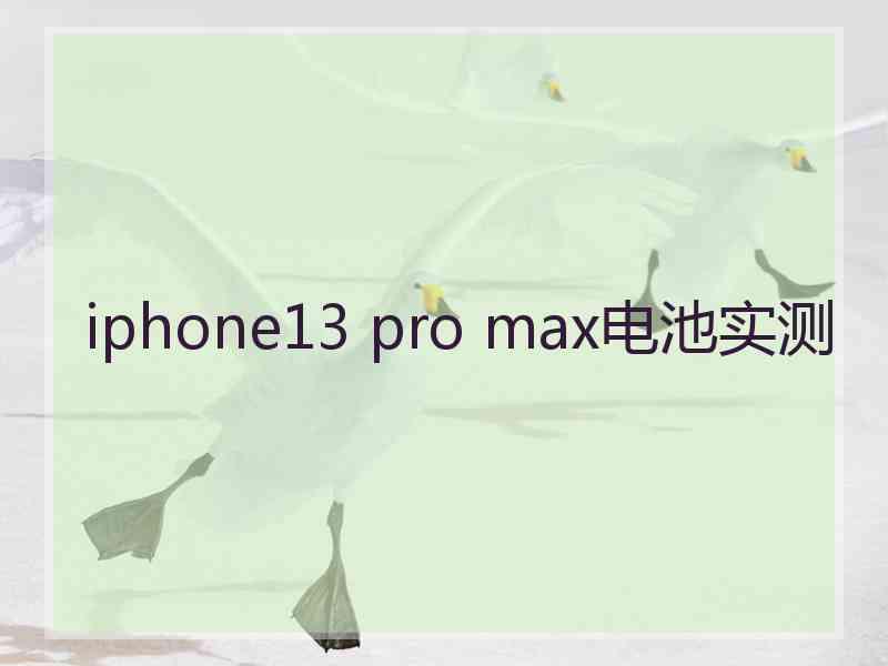 iphone13 pro max电池实测