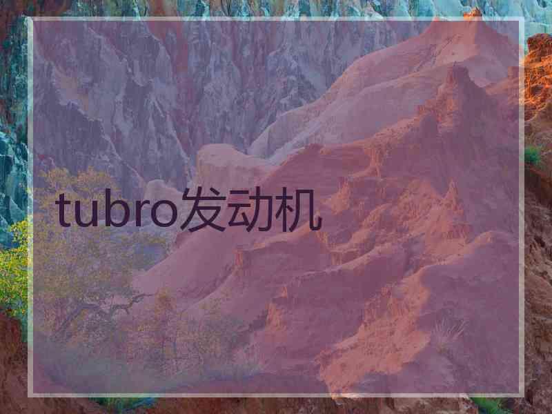 tubro发动机