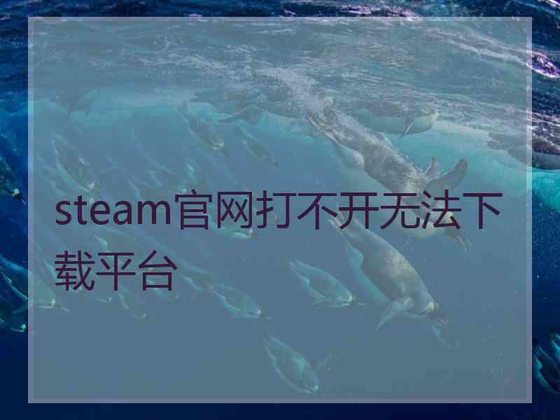 steam官网打不开无法下载平台