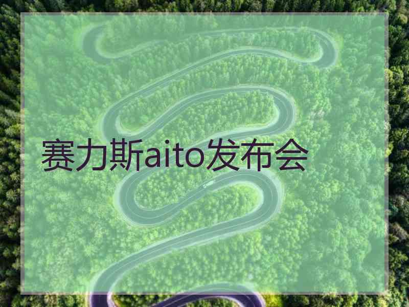 赛力斯aito发布会