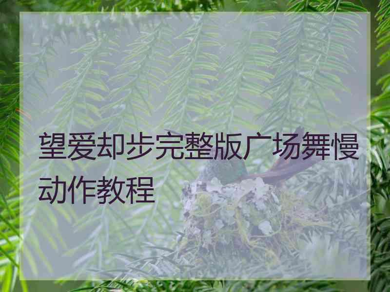 望爱却步完整版广场舞慢动作教程