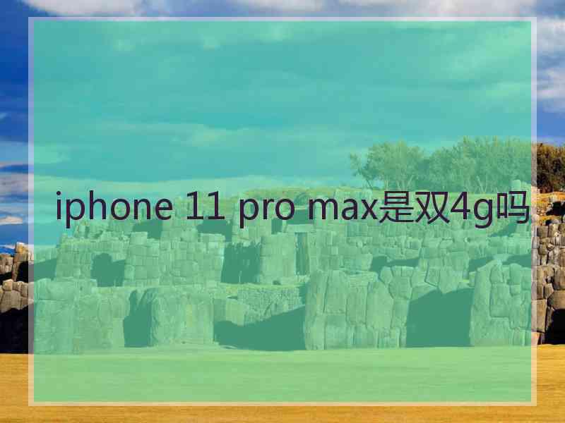 iphone 11 pro max是双4g吗