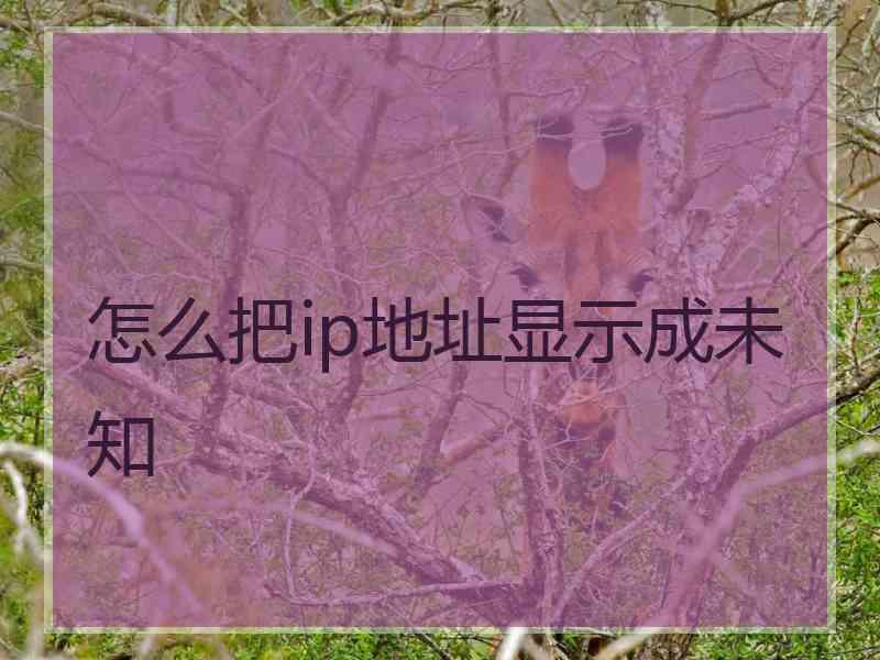 怎么把ip地址显示成未知