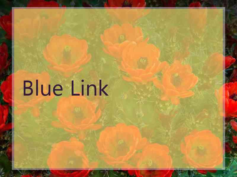 Blue Link