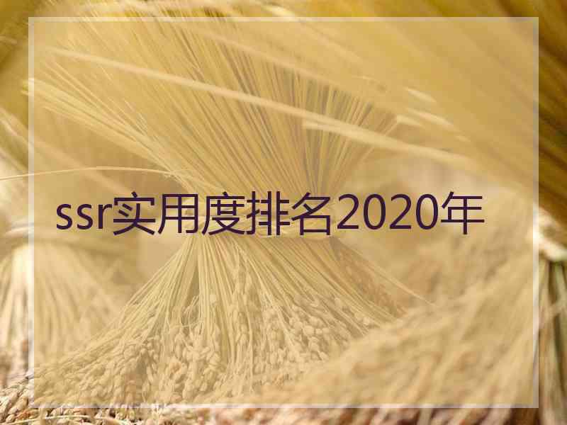 ssr实用度排名2020年